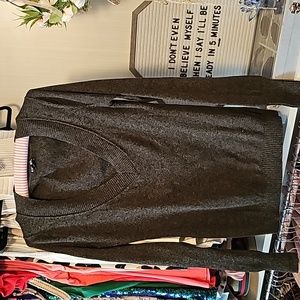 Express v-neck sweater